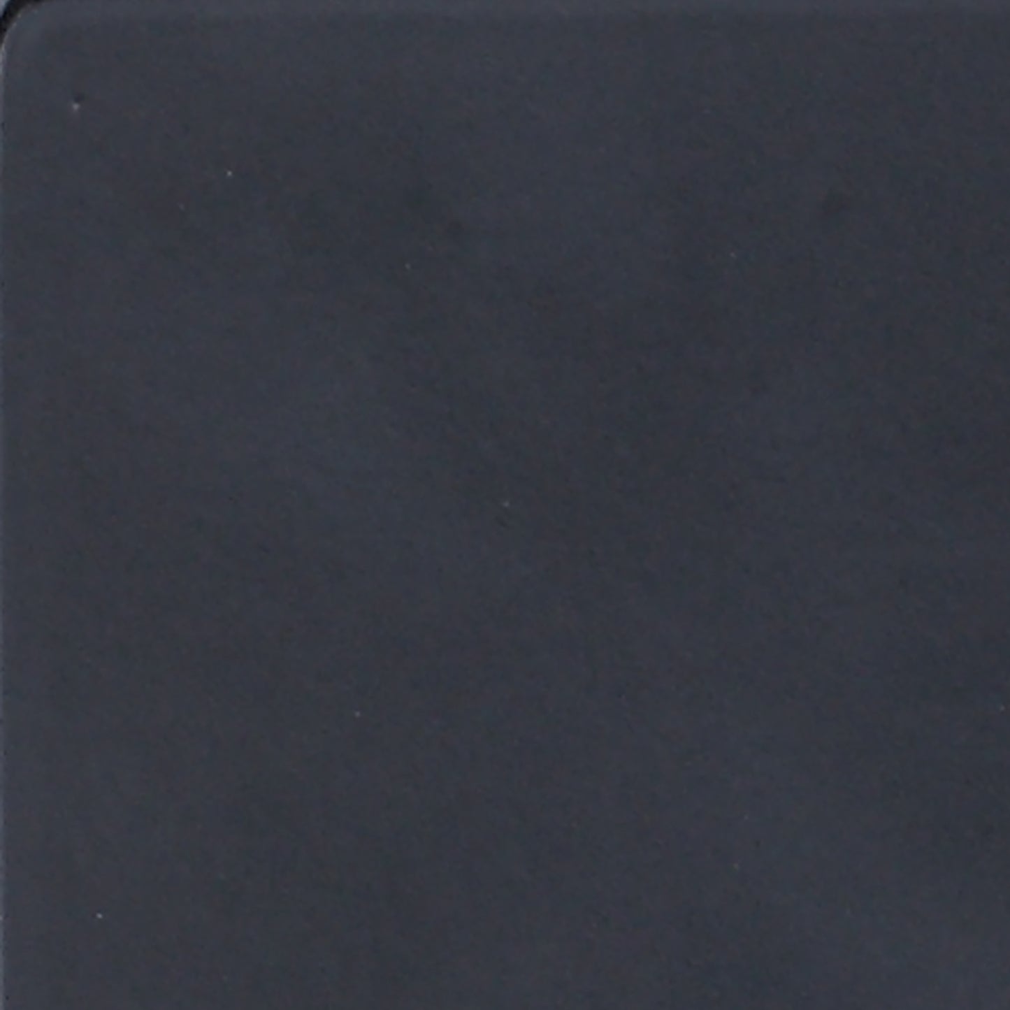 Marina Metal Twin Daybed with Trundle Black