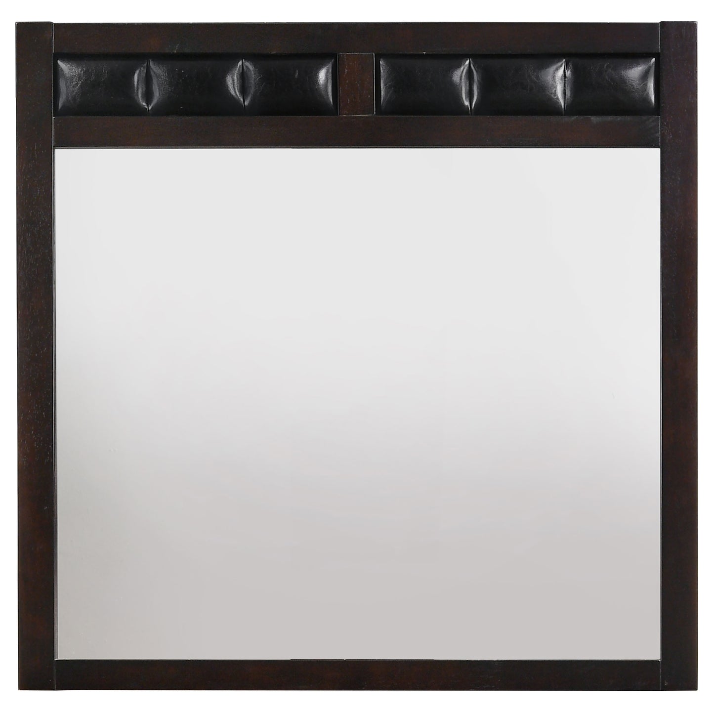 Carlton Upholstered Rectangular Dresser Mirror Cappuccino