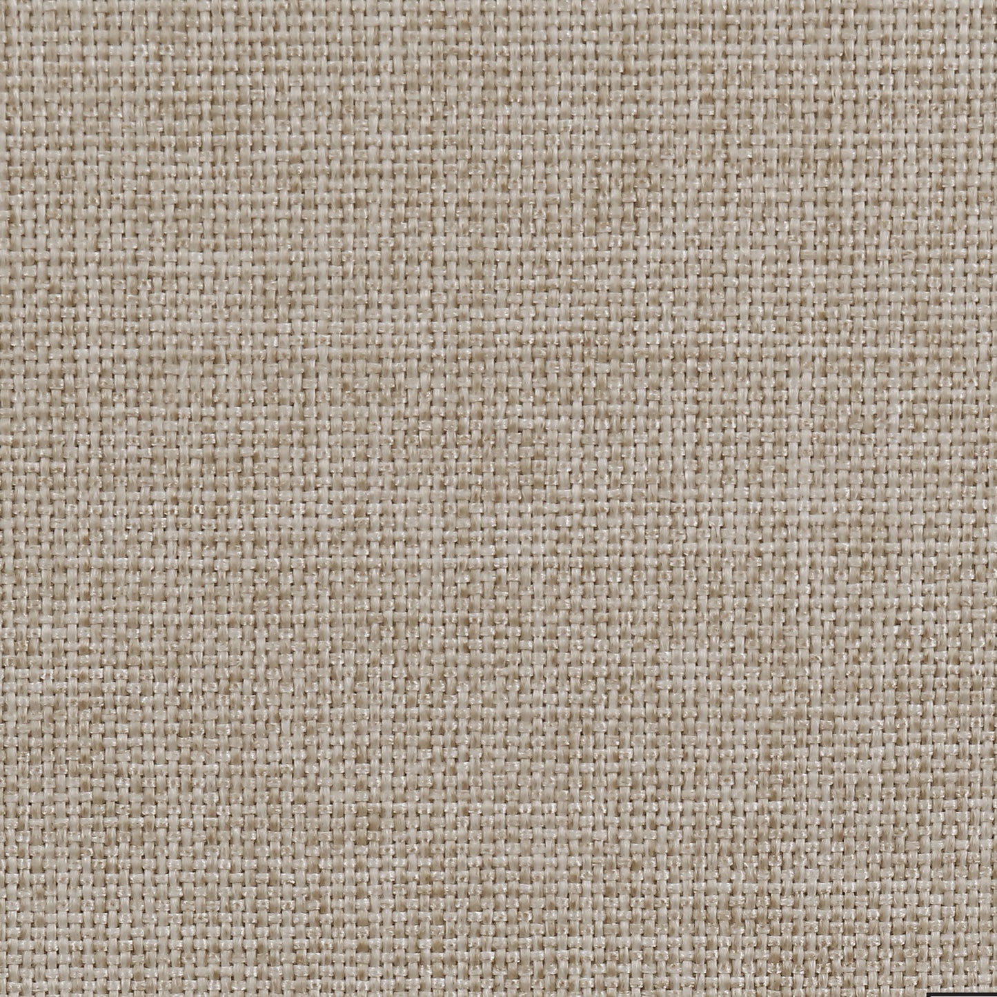 Devon Tufted Upholstered Queen Bed Beige