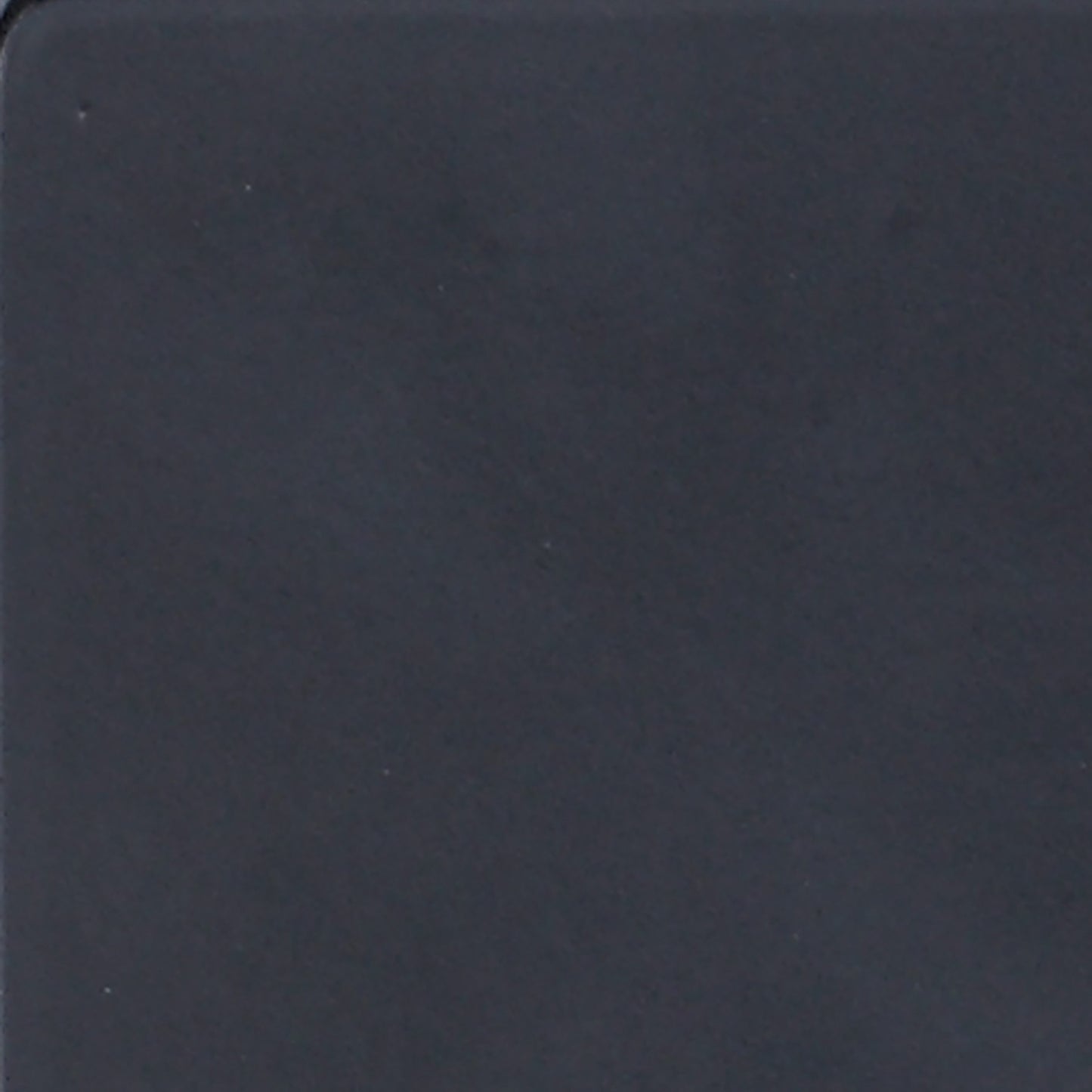 Marina Metal Twin Daybed with Trundle Black