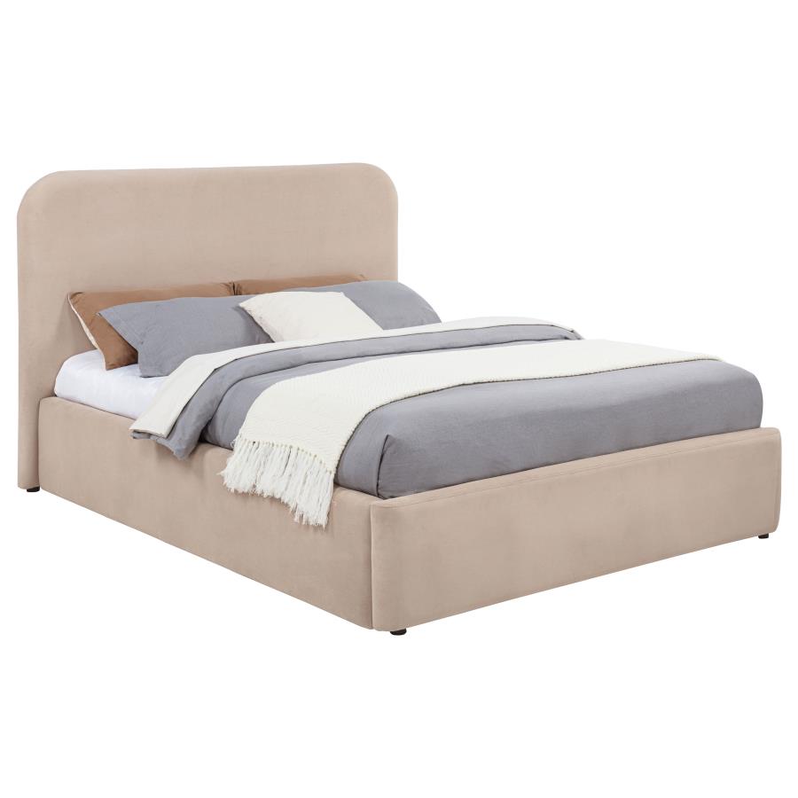 Queen Bed