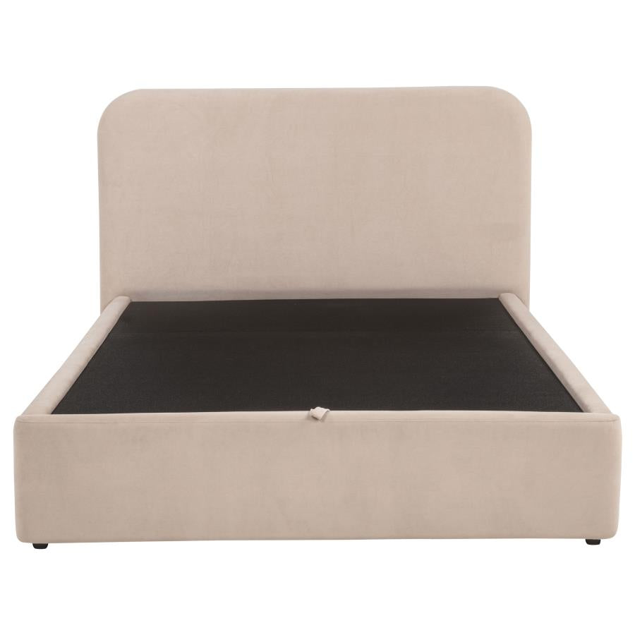 Queen Bed