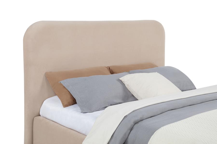 Queen Bed