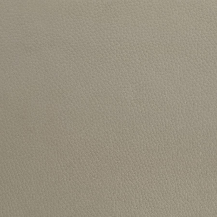 Medley Genuine Leather Queen Panel Platform Bed Tan