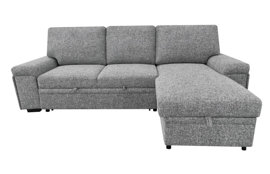 Sleeper Sectional