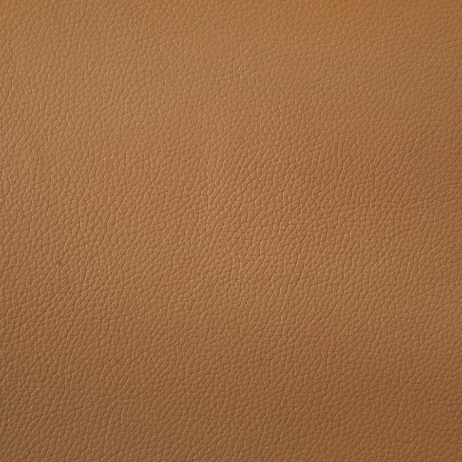 Buxton Top Grain Leather Upholstered Loveseat Orange