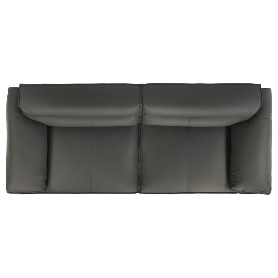 Buxton 2-Piece Leather Upholstered Sofa Set Graphite