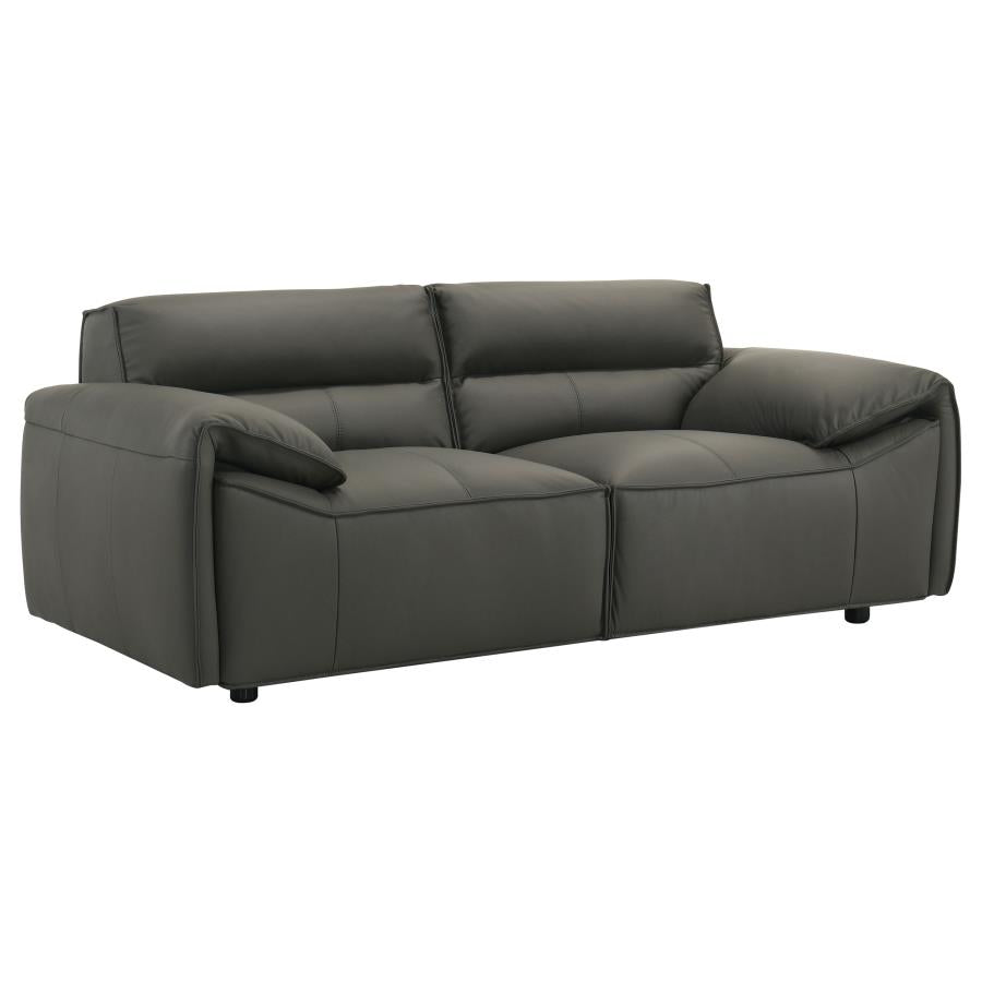 Buxton 2-Piece Leather Upholstered Sofa Set Graphite