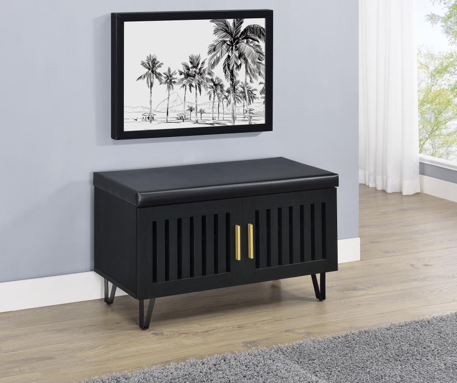 Brixton 2-Door Padded Entryway Shoe Storage Bench Black