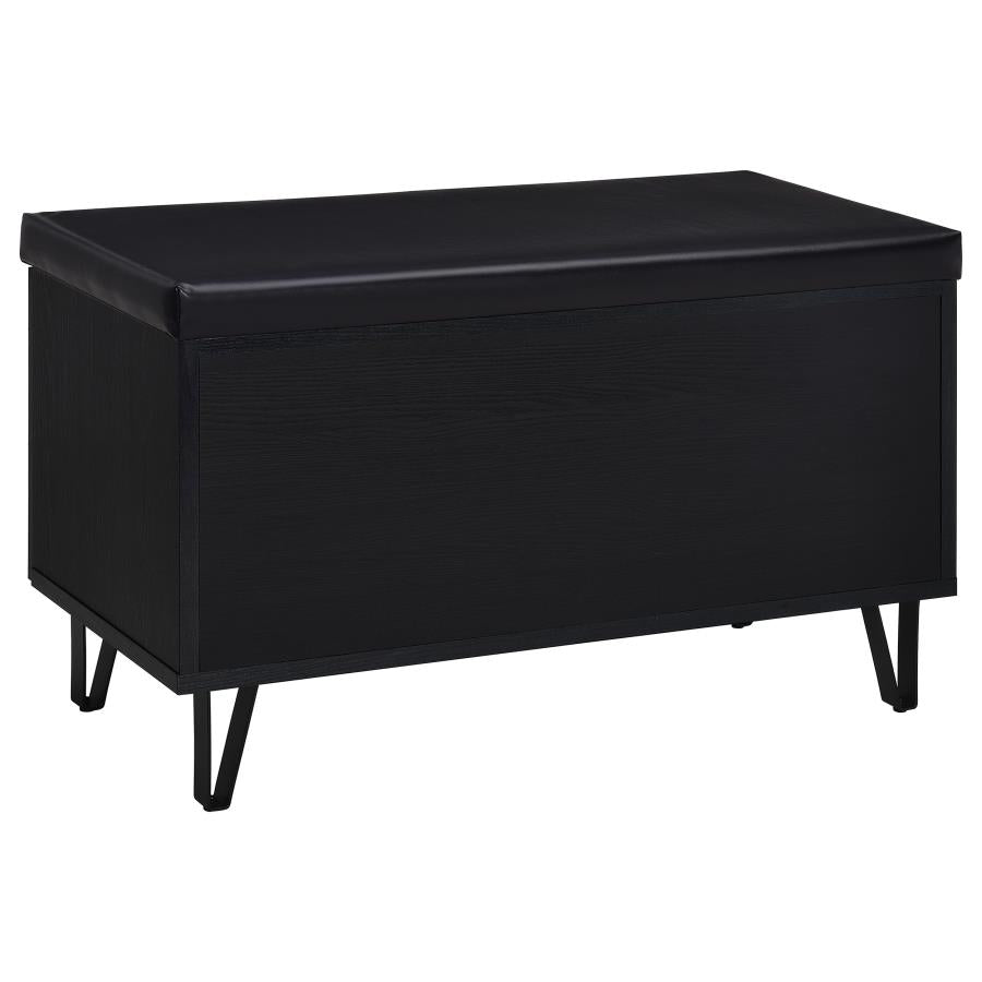 Brixton 2-Door Padded Entryway Shoe Storage Bench Black