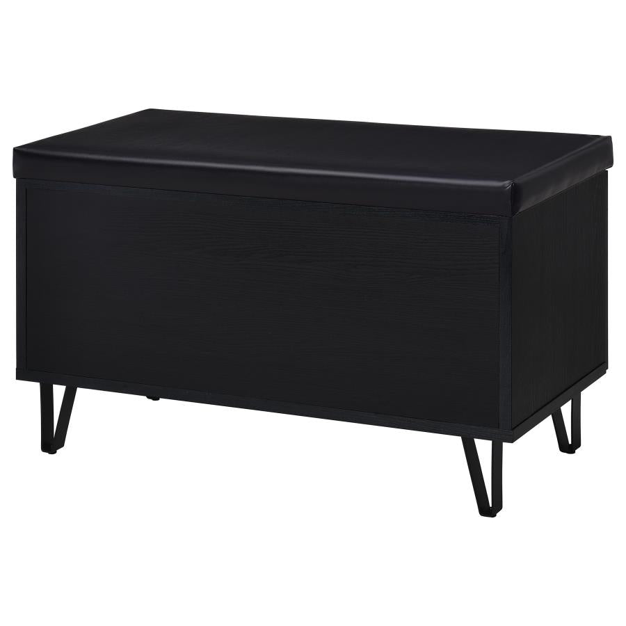 Brixton 2-Door Padded Entryway Shoe Storage Bench Black