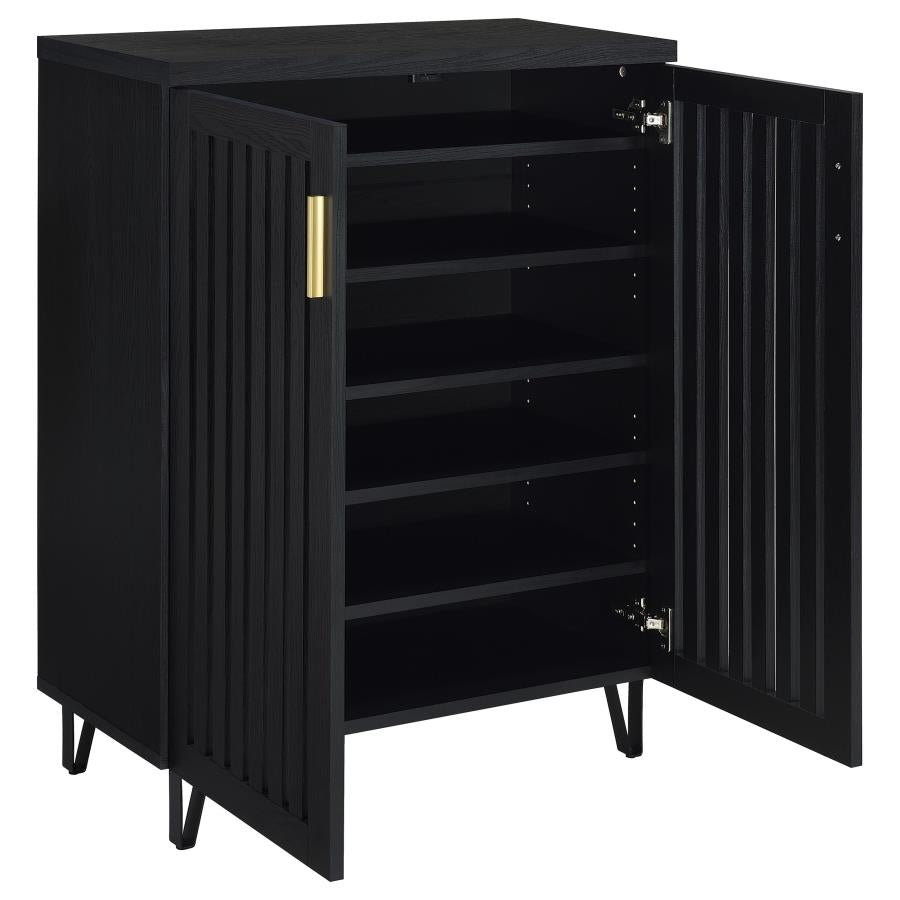 Brixton 2-Door Entryway Shoe Storage Cabinets Black
