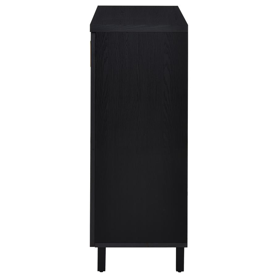 Brixton 2-Door Entryway Shoe Storage Cabinets Black