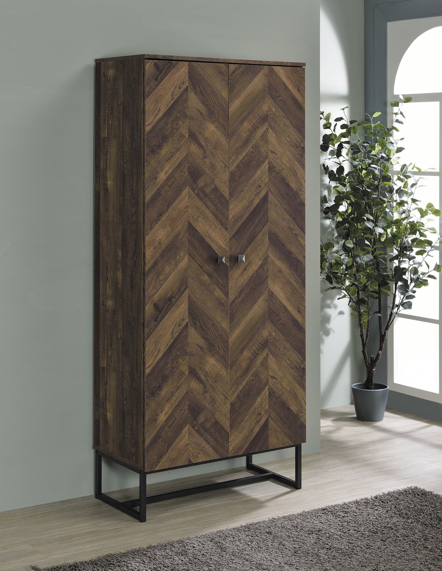 Carolyn 2-door Engineered Wood Accent Cabinet Rustic Oak