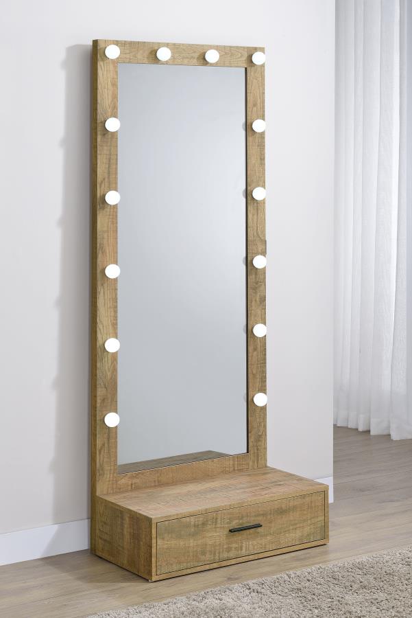 SPECTOR 1-DRAWER LIGHTED FULL-LENGTH FLOOR MIRROR MANGO