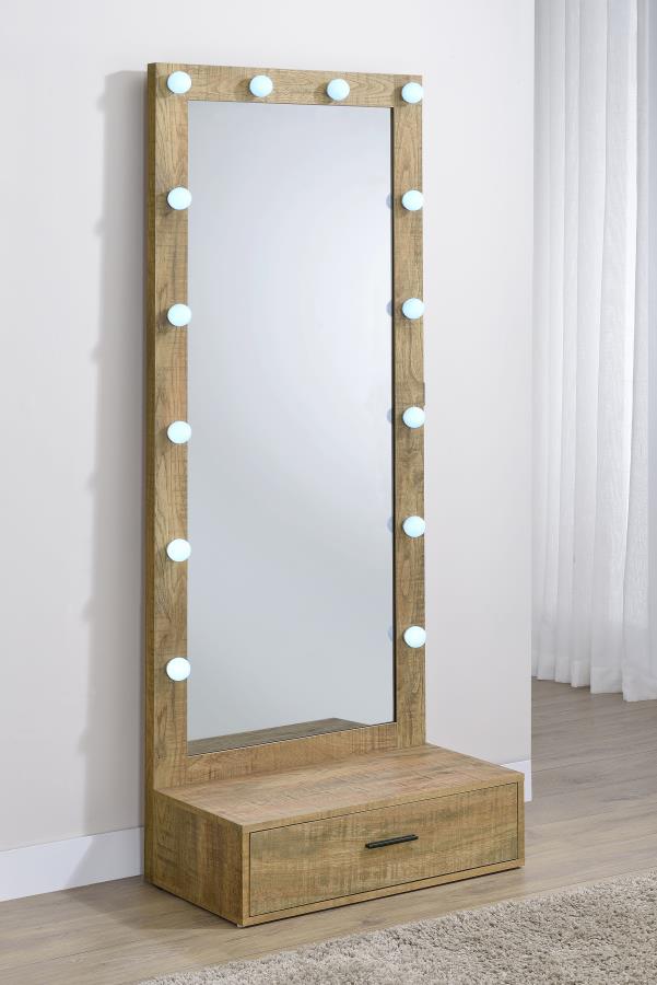 SPECTOR 1-DRAWER LIGHTED FULL-LENGTH FLOOR MIRROR MANGO