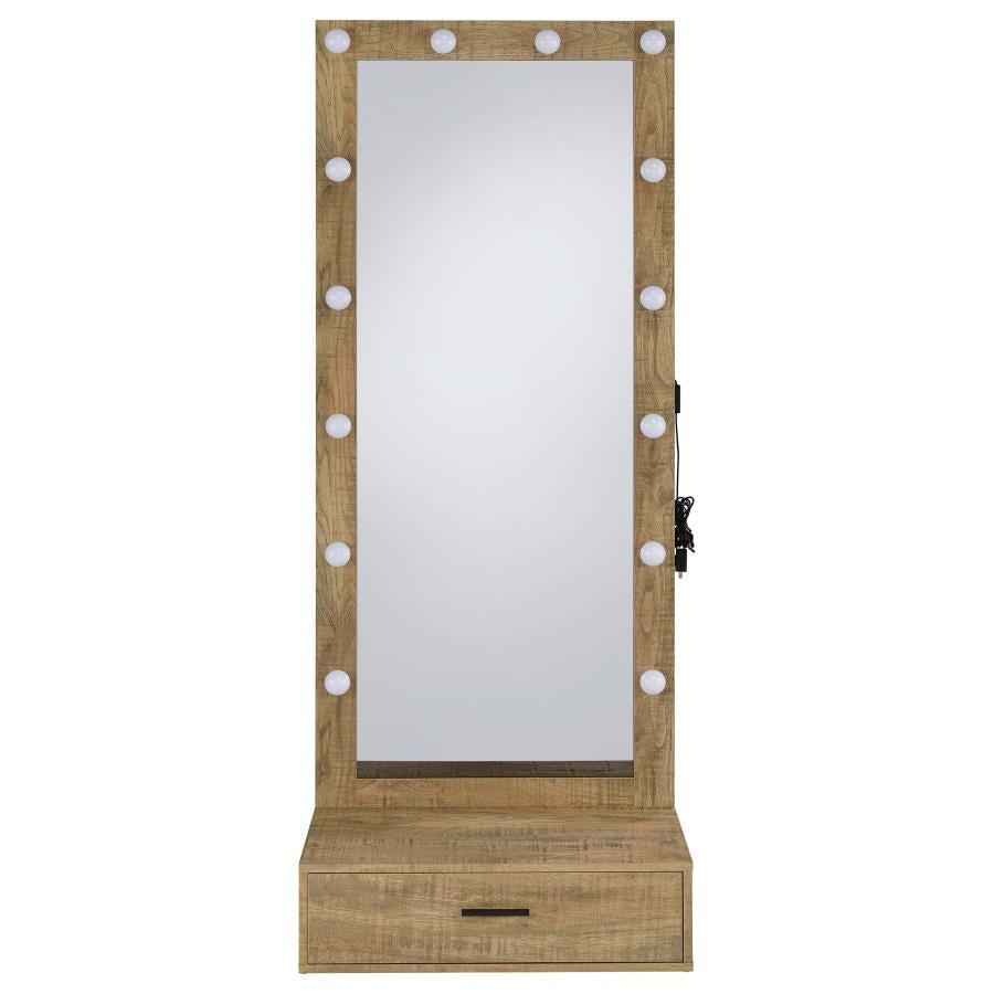 SPECTOR 1-DRAWER LIGHTED FULL-LENGTH FLOOR MIRROR MANGO