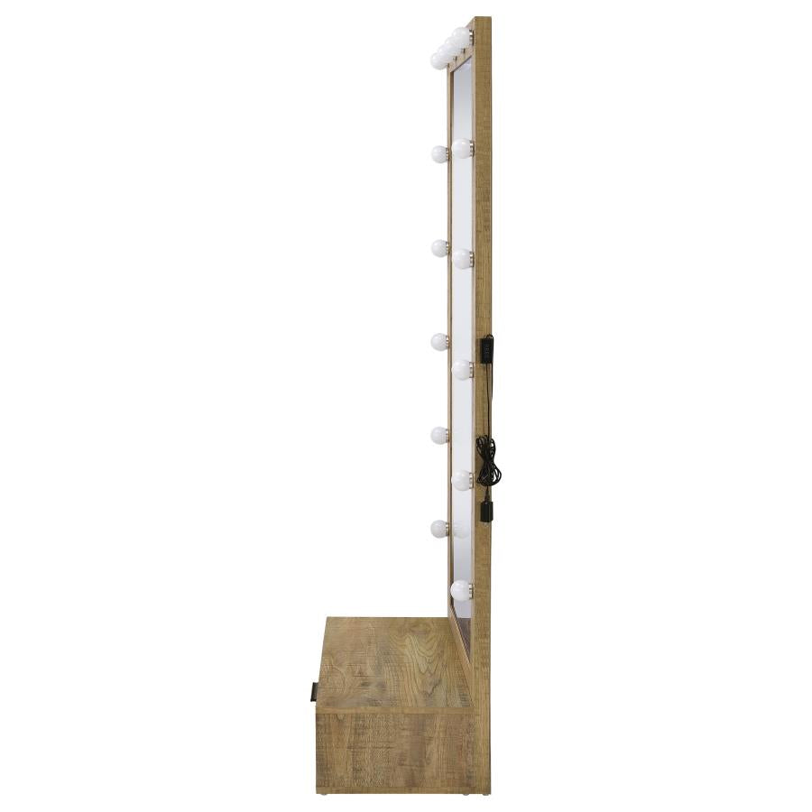 SPECTOR 1-DRAWER LIGHTED FULL-LENGTH FLOOR MIRROR MANGO