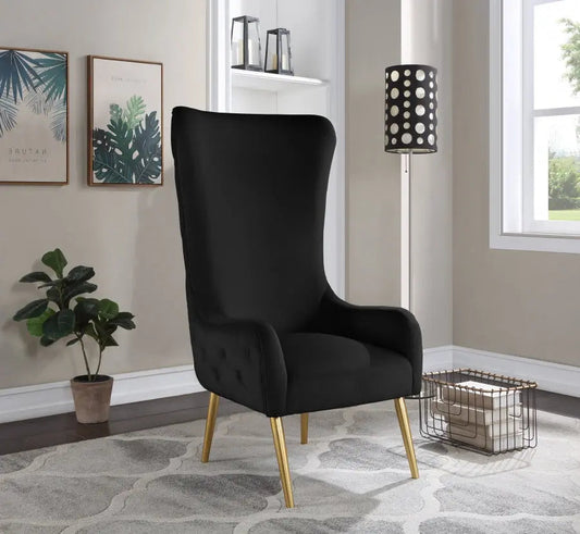 Meridian Furniture - Alexander Accent Chair In Black - 536Black - ATL FURNITURE