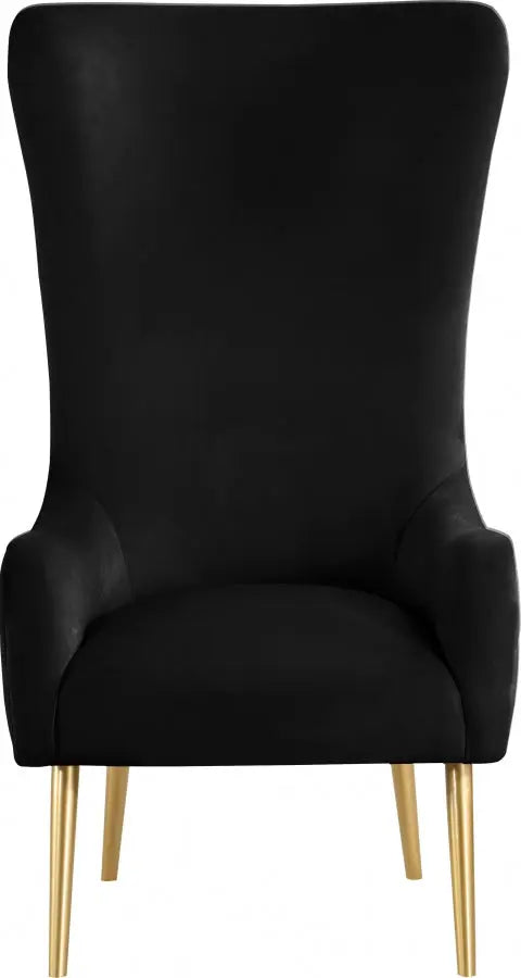 Meridian Furniture - Alexander Accent Chair In Black - 536Black - ATL FURNITURE