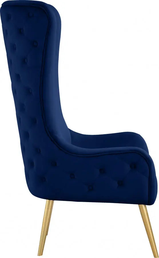 Meridian Furniture - Alexander Accent Chair In Navy - 536Navy - ATL FURNITURE